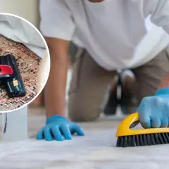 Hombre con guantes azules frota alfombra con cepillo amarillo. En círculo, aspiradora sobre alfombra con cruz roja.