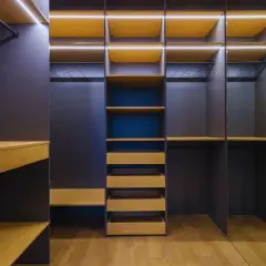 Armarios por dentro: ideas de organización con estantes de madera, cajones y luces LED integradas para un espacio moderno y funcional.