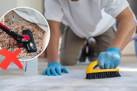 Hombre con guantes azules frota alfombra con cepillo amarillo. En círculo, aspiradora sobre alfombra con cruz roja.