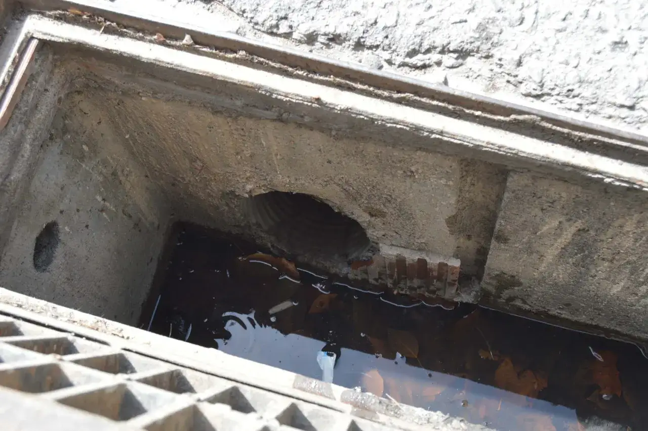 Detalle de un imbornal con agua estancada y hojas, mostrando la entrada a un conducto. Aqu&iacute; se aprecia la diferencia entre imbornal y sumidero.