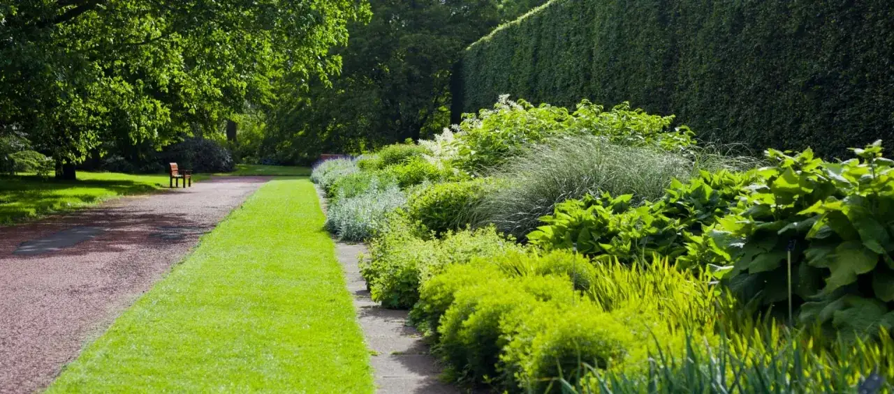 Un camino de grava bordea un c&eacute;sped verde y un jard&iacute;n exuberante, ideal para estudiar paisajismo.