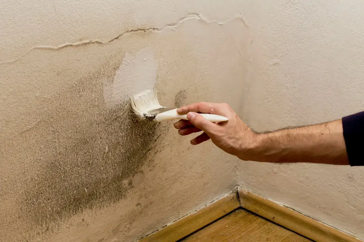 Aplicando imprimaci&oacute;n a una pared con manchas de humedad. La brocha cubre la zona afectada, preparando la pared para la pintura.