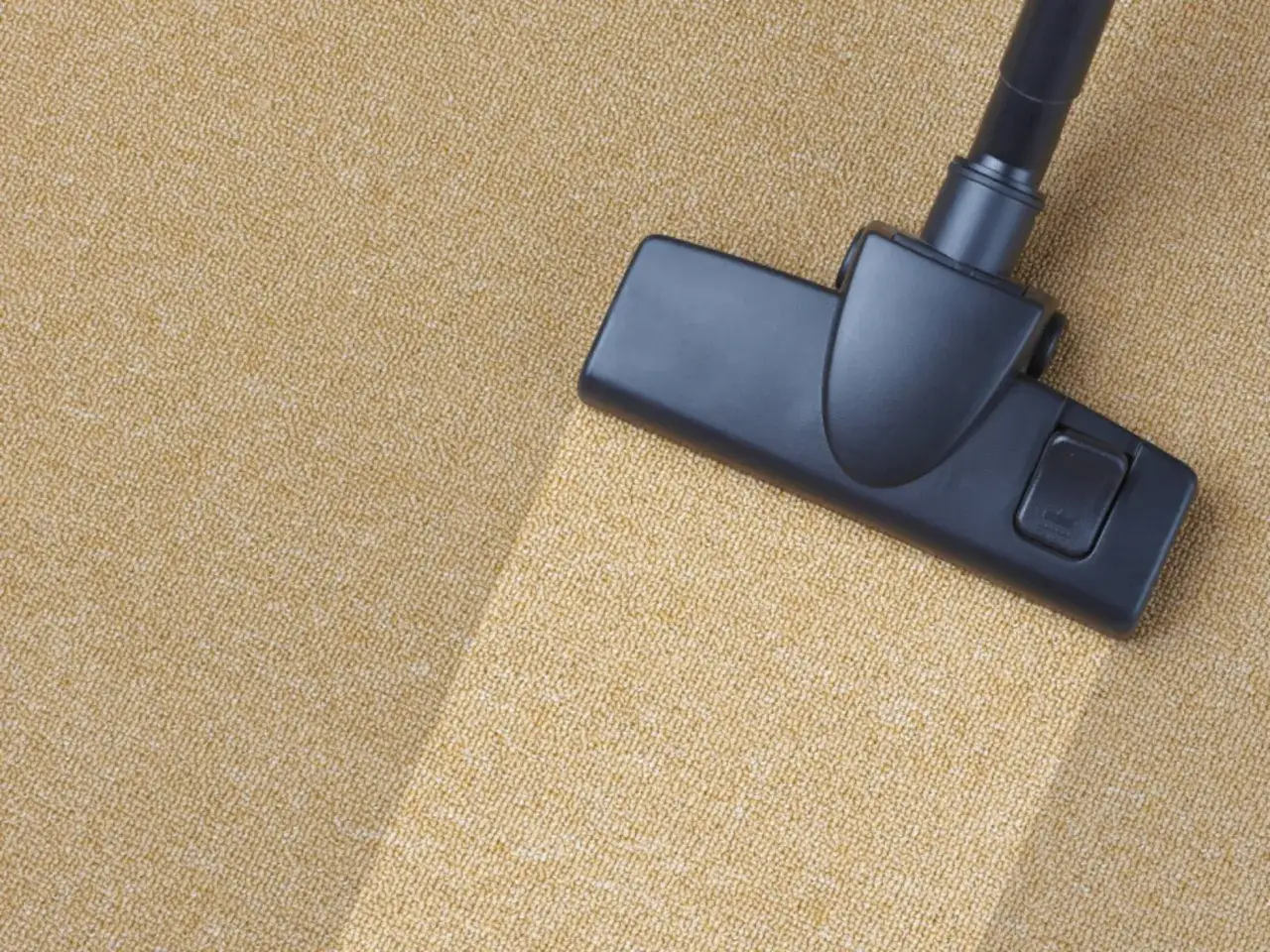 Cabezal de aspiradora limpiando una alfombra beige, dejando una franja m&aacute;s clara.